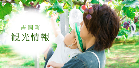 トップメインイメージ:観光情報