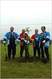 吉岡町の木「イチョウ」