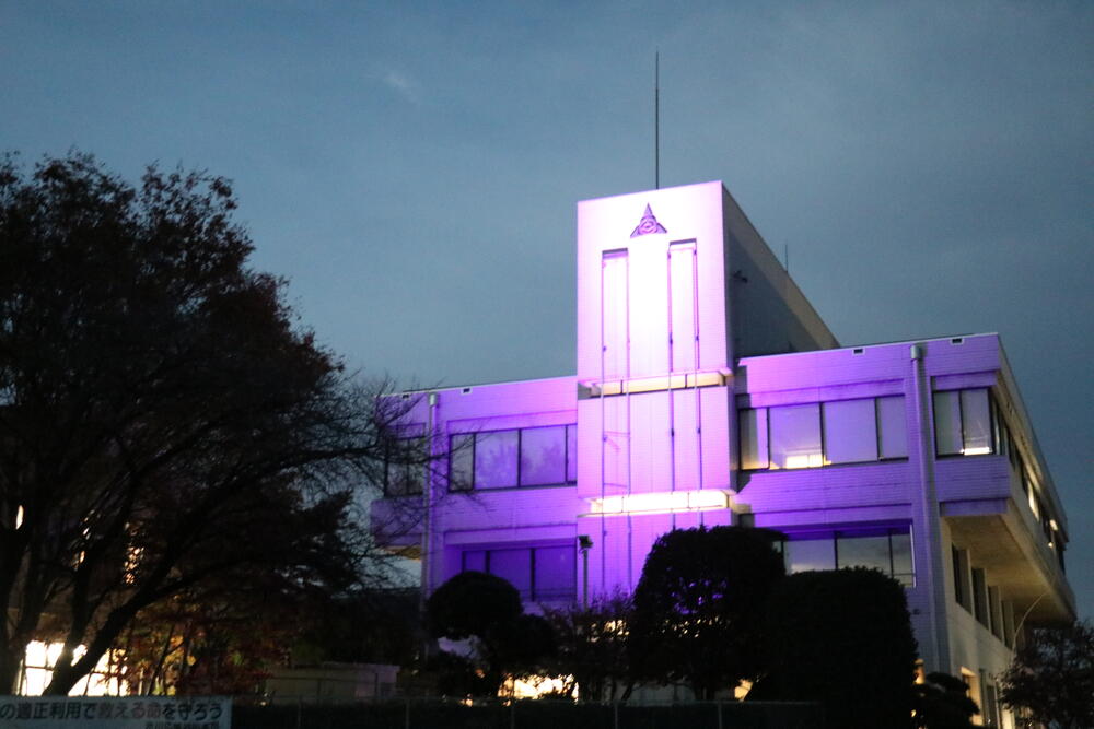 パープルライトアップ横.JPG